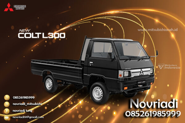 L300 L300